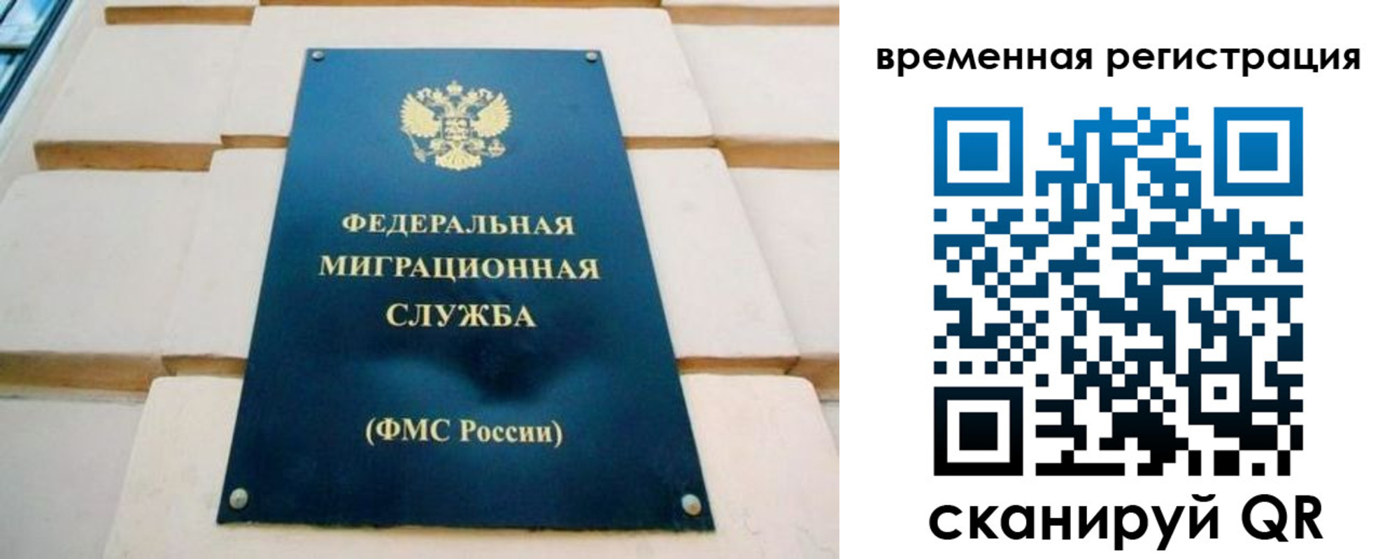 прописка гарантия в Новгородской области